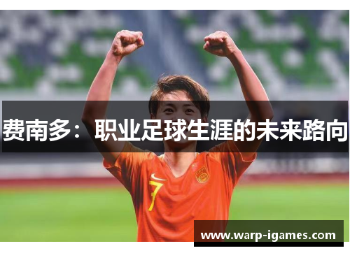 费南多：职业足球生涯的未来路向