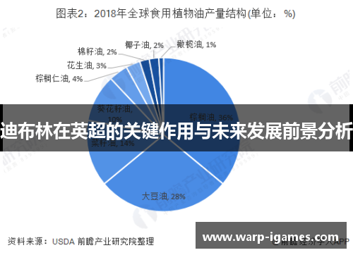 迪布林在英超的关键作用与未来发展前景分析